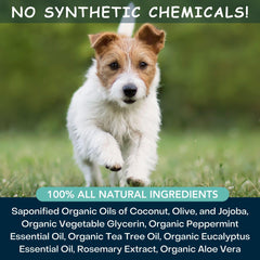 4Legger champú para perro: cuidados de piel con ingredientes orgánicos.