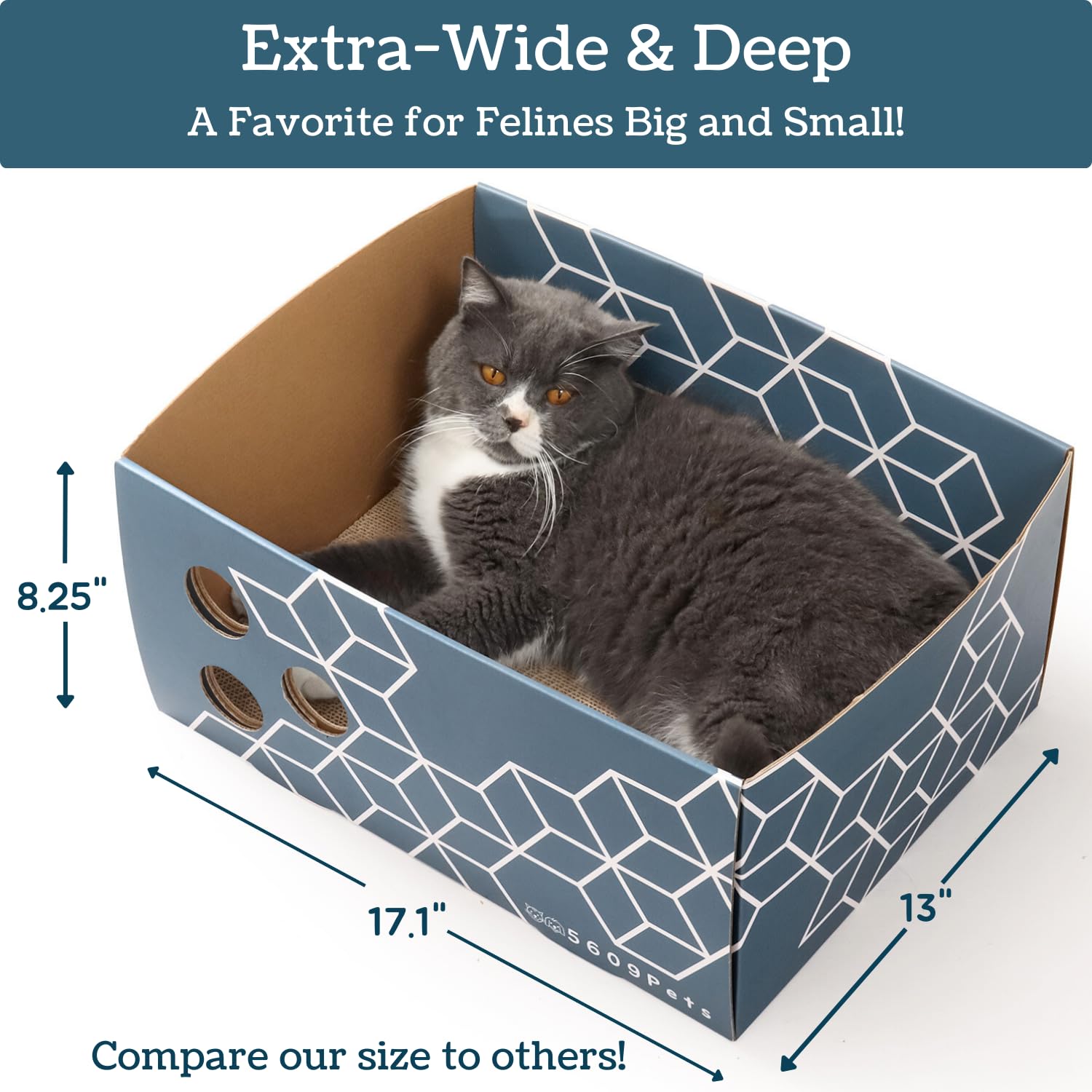 5609PETS agujeros de juego interactivo para perseguir juguetes