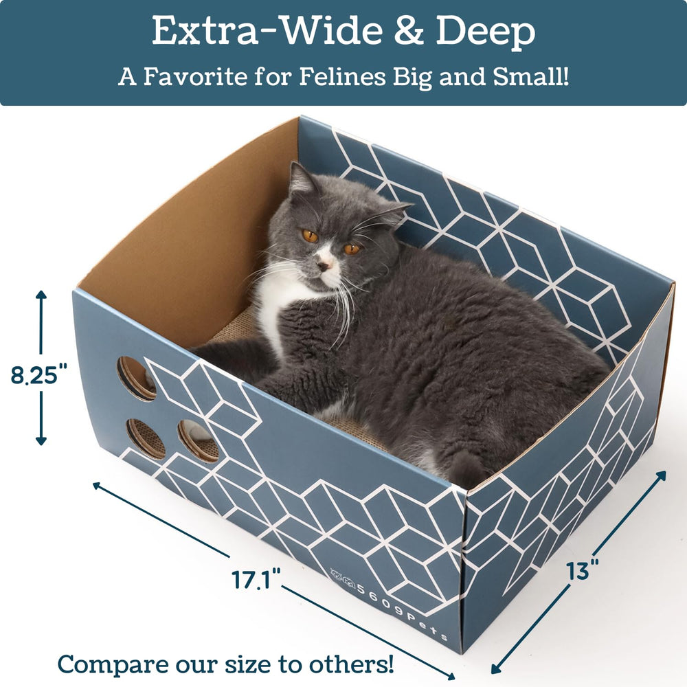 5609PETS agujeros de juego interactivo para perseguir juguetes