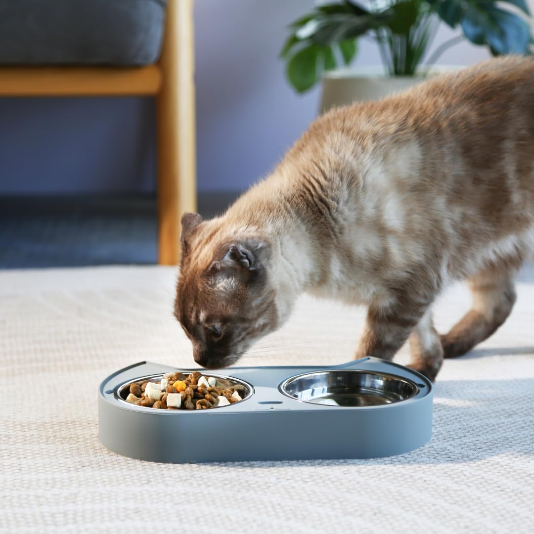 7 Ruby Road uso diario para gatos, porciones equilibradas