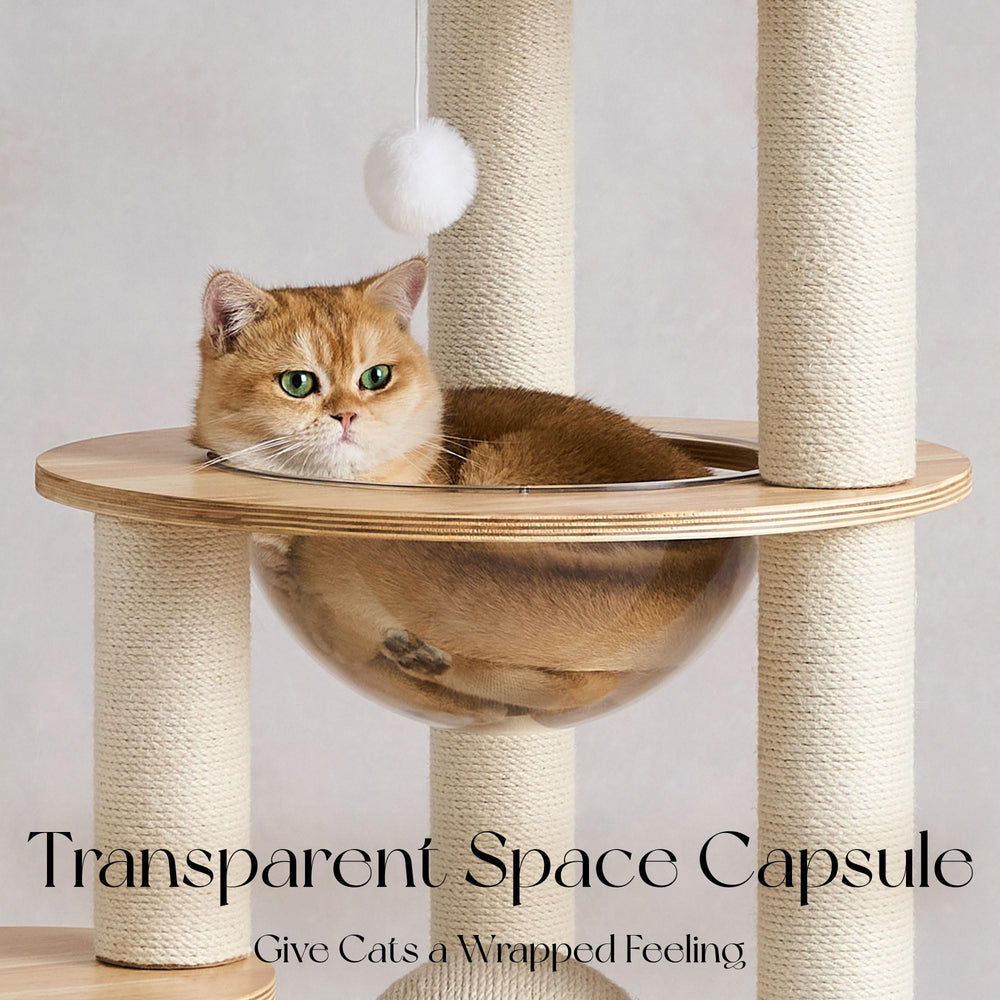 797Audio base-peso-estable, soporte robusto para saltos de gatos grandes.