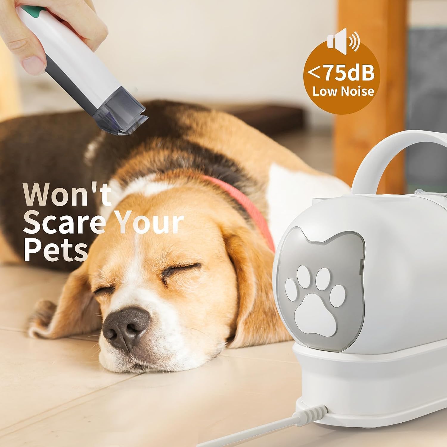 8VR cortauñas eléctricos para perros facilita el cuidado de uñas
