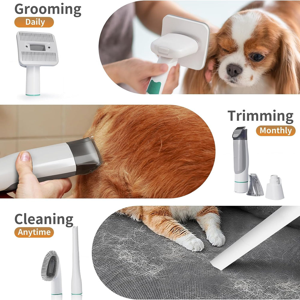 8VR cubeta de polvo desmontable facilita la limpieza tras grooming