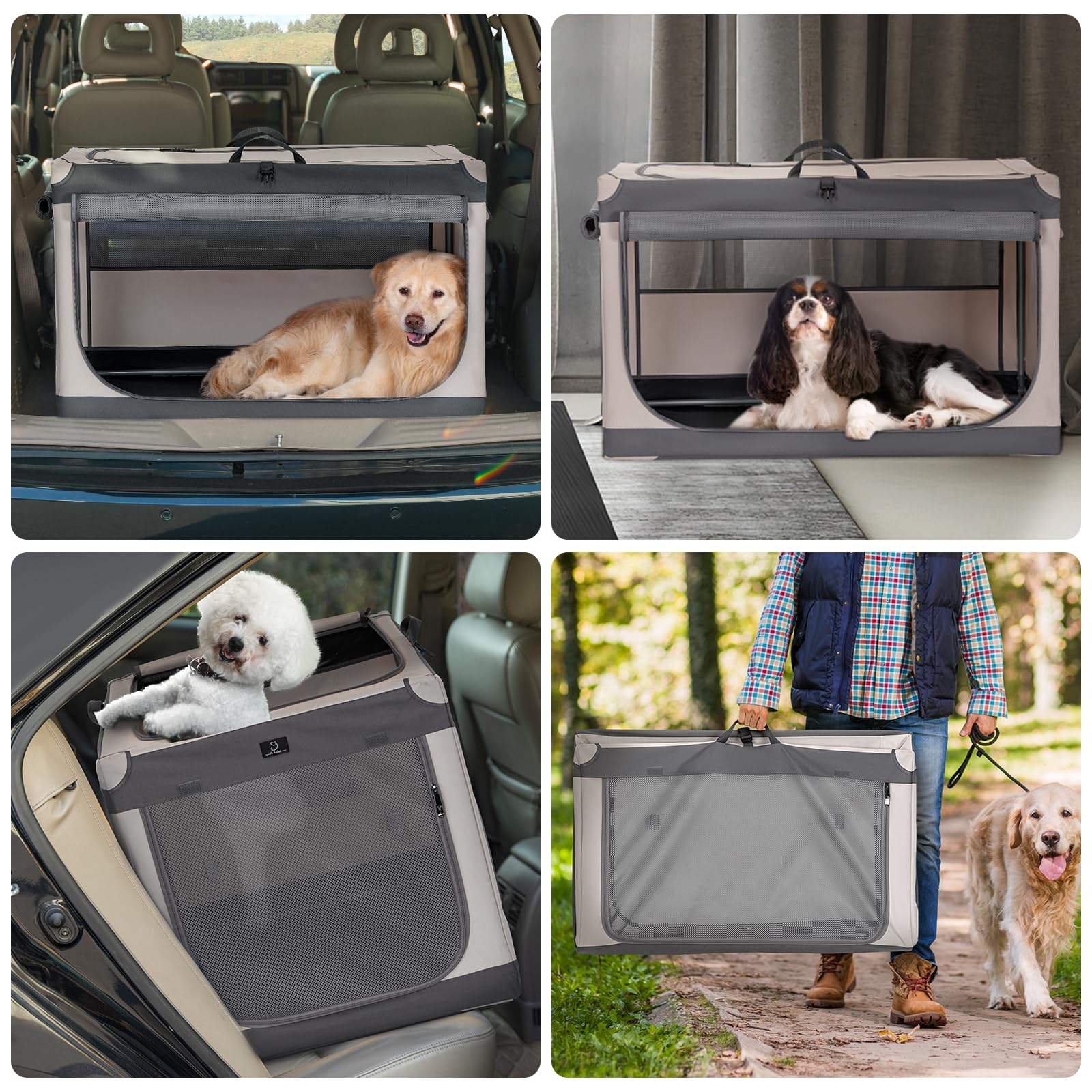 A 4 Pet 40: diseño compacto ideal para transporte y almacenamiento