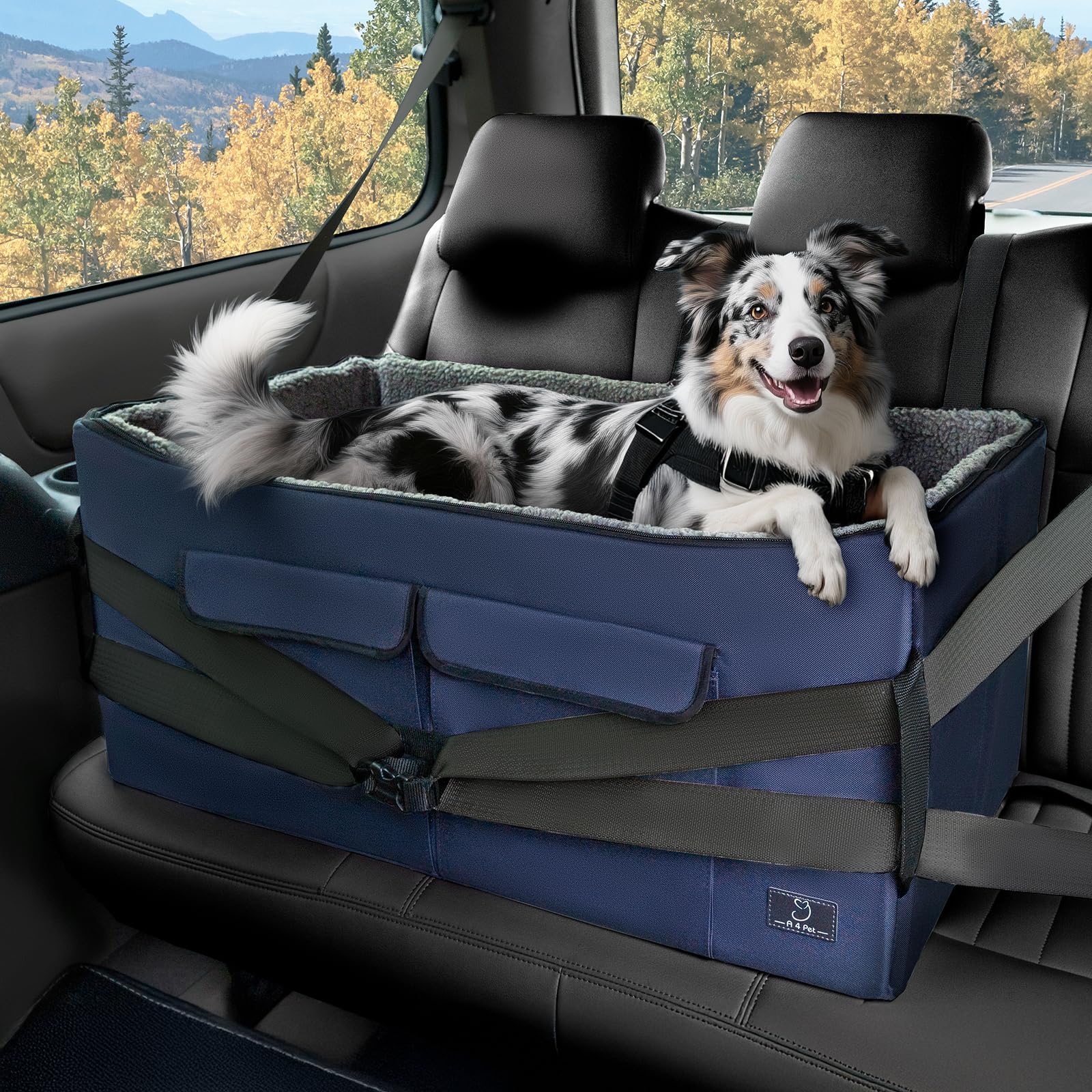 A 4 Pet uso versátil en coche y hogar para mascotas.