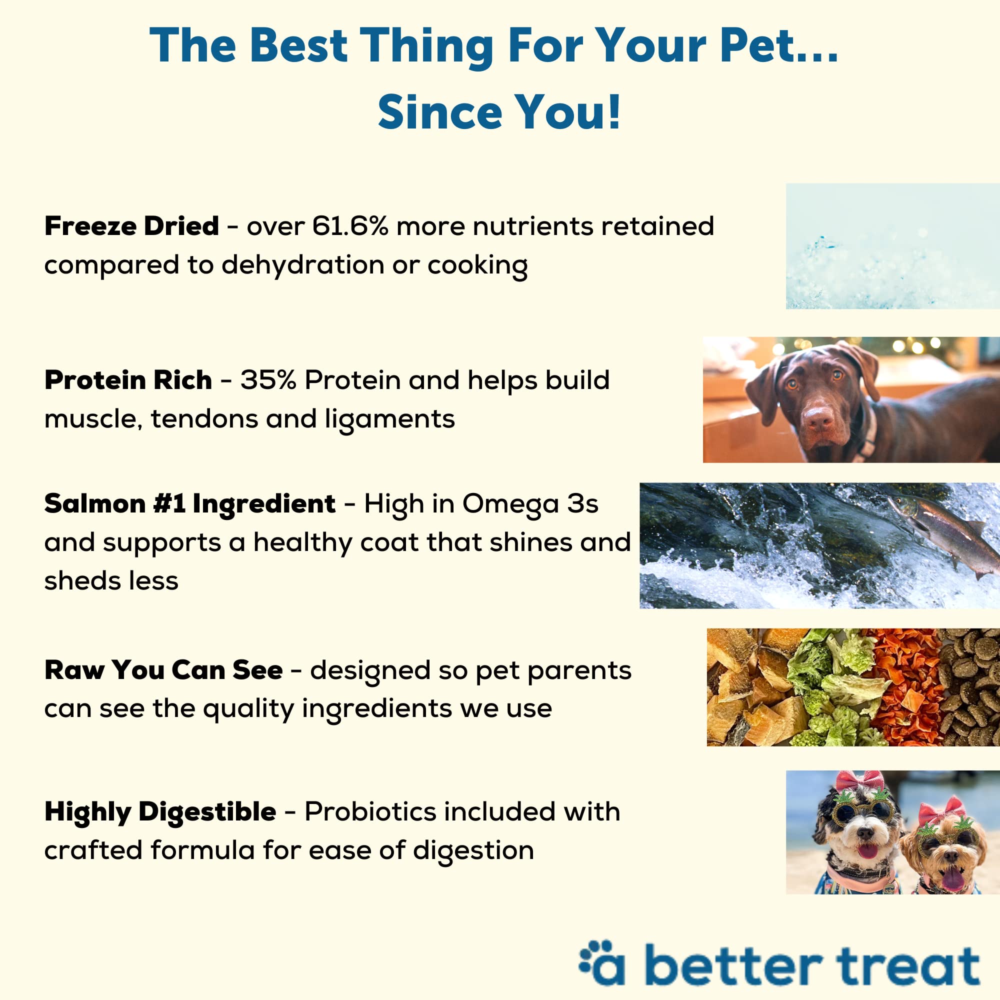 A Better Dog Food croqueta proteína alta: apoya músculos y energía