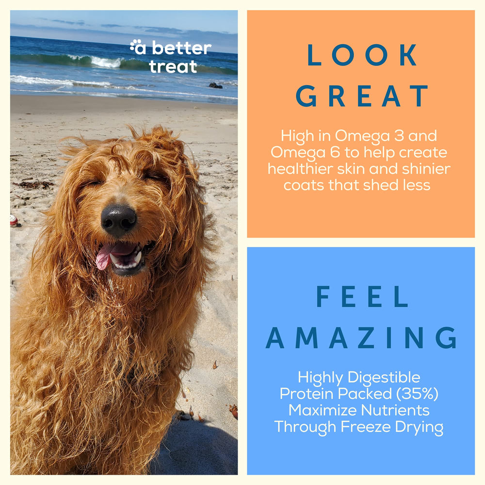 A Better Dog Food zanahoria deshidratada: sabor natural y vitaminas
