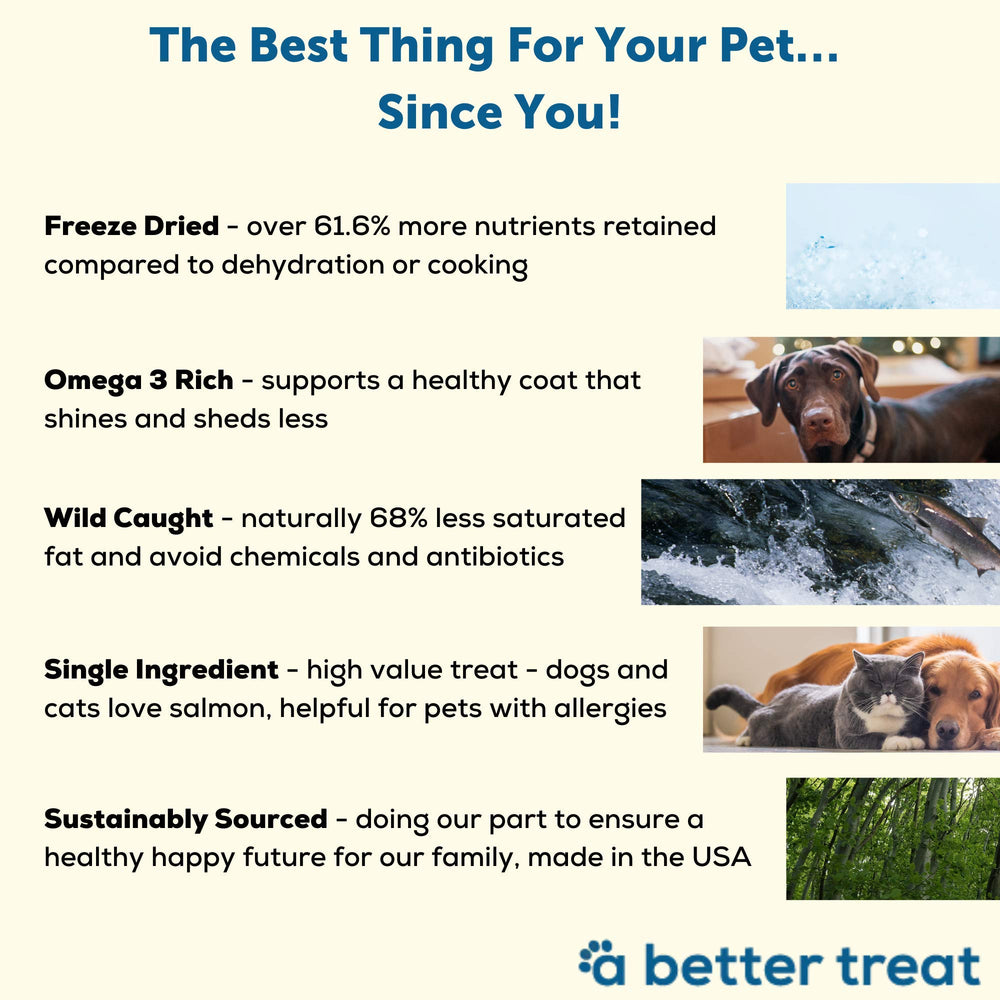 Salmón de Alaska de A Better Treat: fuente natural de proteína para perros.
