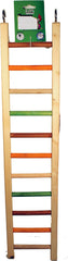 A&E Cage Company escalera colgante de madera para aves multicolor, ideal para trepar y juego diario