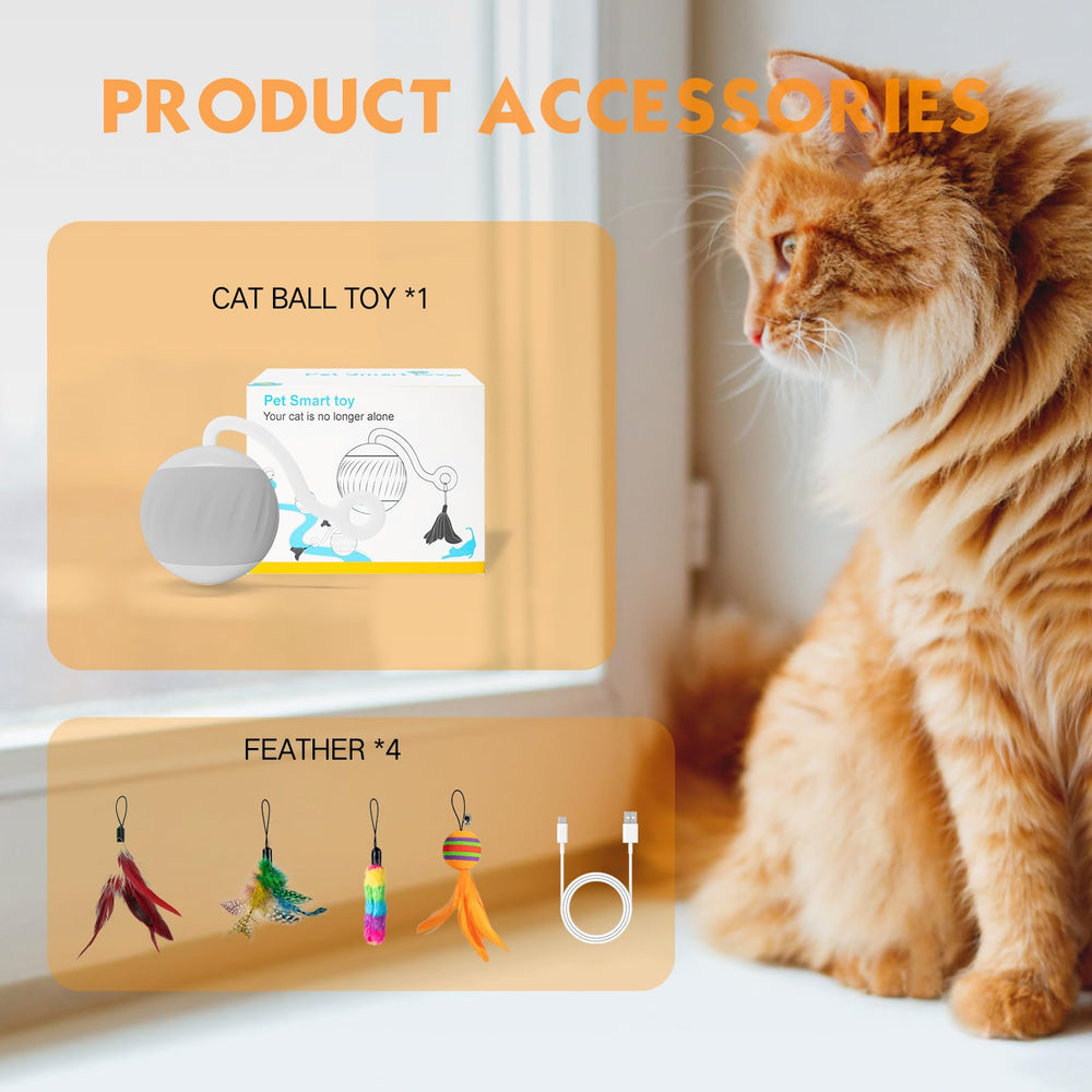 AAA AMUSANG ideal para gatos interiores y hurones curiosos