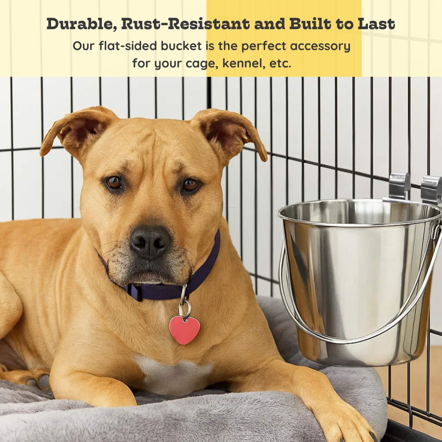 Uso para almacenar comida o golosinas con balde AASPIRE PETS.