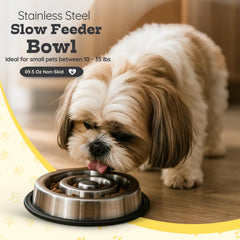 AASPIRE PETS cuenco 1 taza para perros y gatos pequeños, ideal porciones.