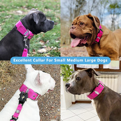 Cierre de pin metálico ajustable en el collar táctico AaufiLux rosa.