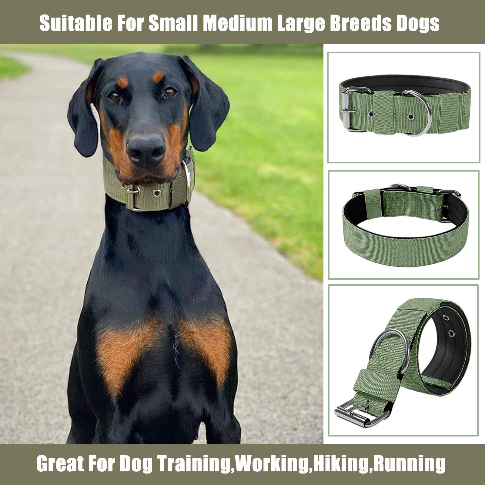 AaufiLux collar en uso durante entrenamiento y paseos