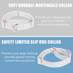 AaufiLux collar martingale ajustable para perros