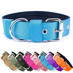 Collar táctico AaufiLux de 1,5 pulgadas para perros activos y duraderos.
