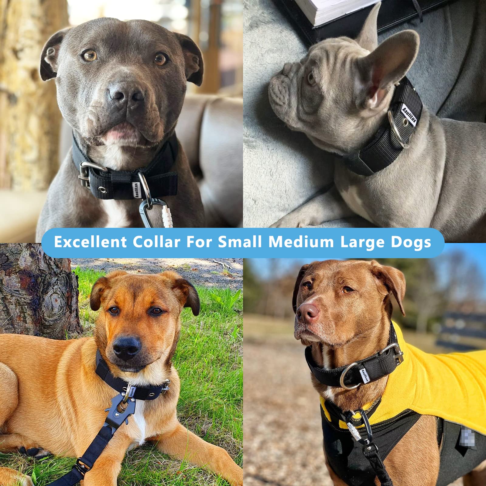 Aaufilux collar táctico con hebilla ajustable para ajuste seguro