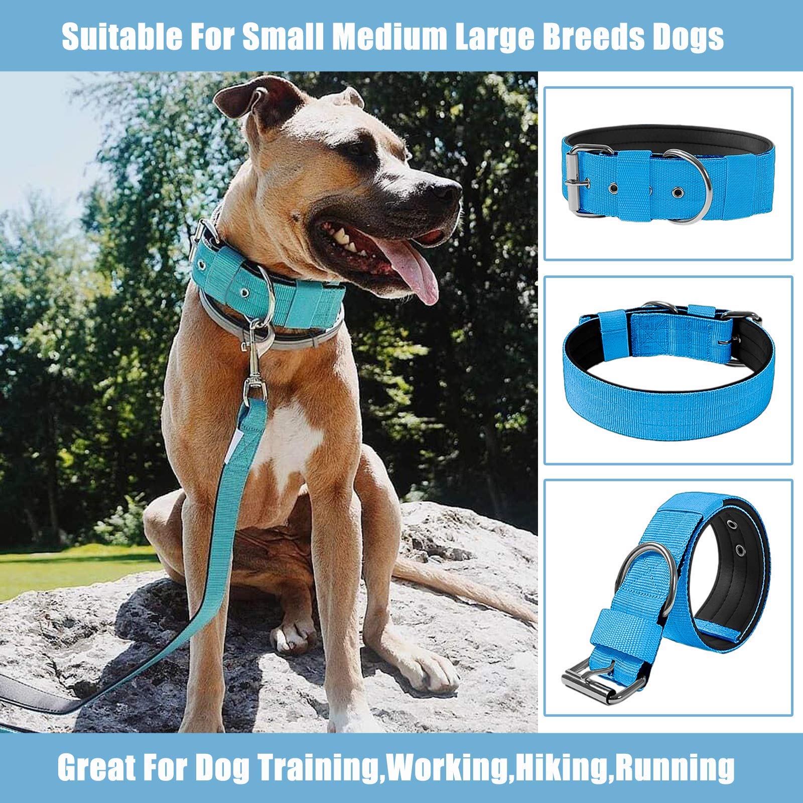 Tallas M-L del collar táctico AaufiLux para perros medianos y grandes.