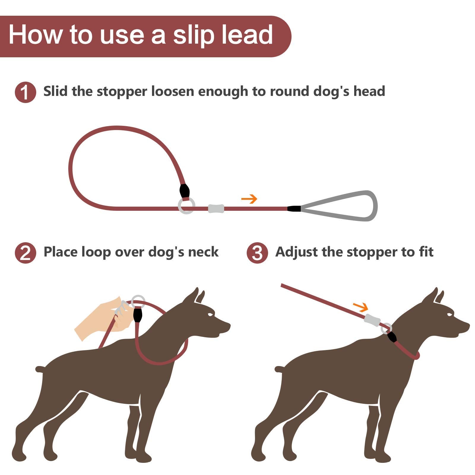 Longitud de 5 ft de AaufiLux, ideal para perros medianos y grandes.
