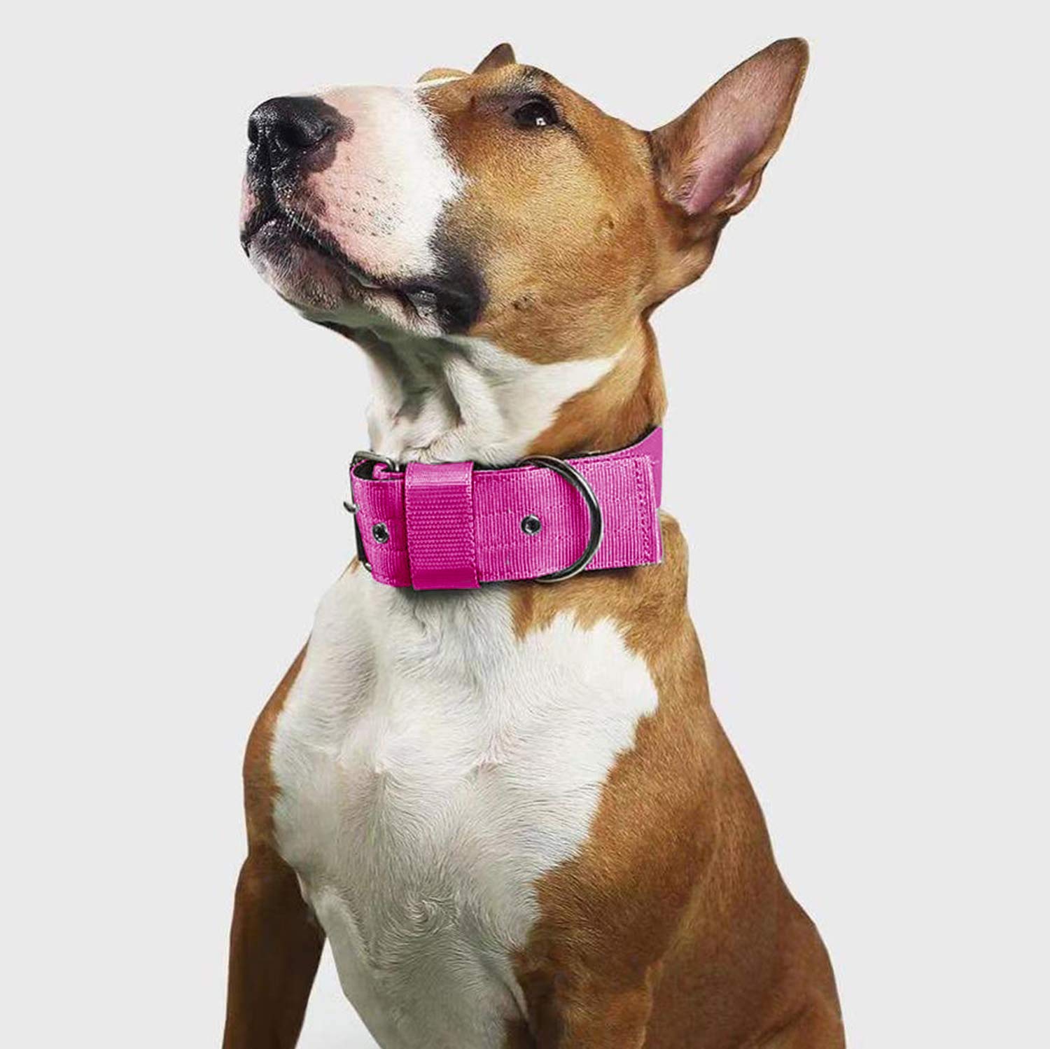 Tallas disponibles S, M y L para el collar AaufiLux rosa.