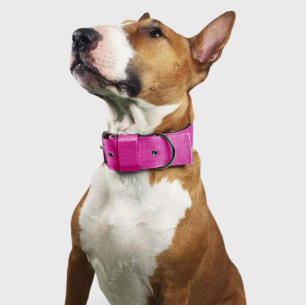 Tallas disponibles S, M y L para el collar AaufiLux rosa.