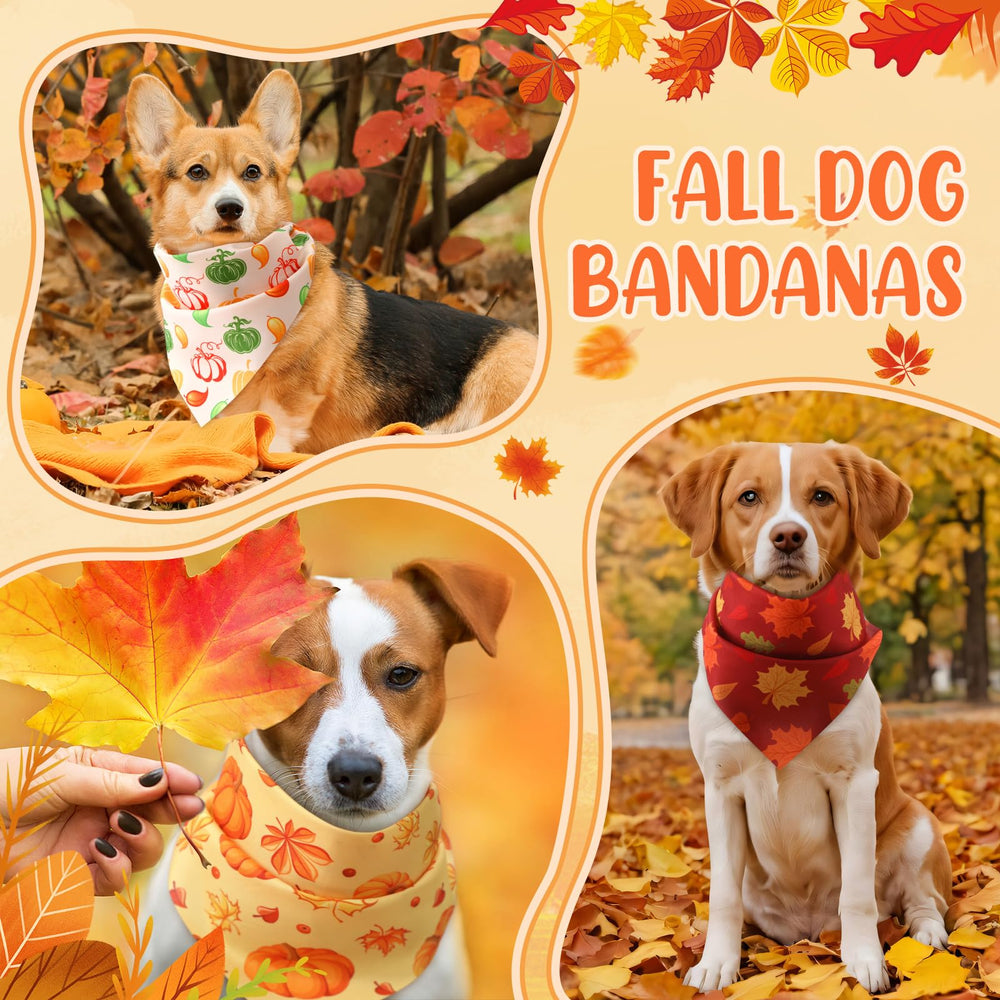 Bandana Abbylike de 50 piezas, diseño variado para cada ocasión.