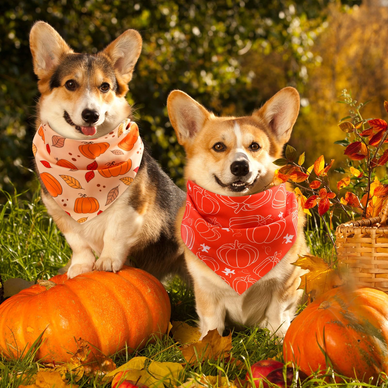 Bandana Abbylike para perro con hojas de arce, añade estilo festivo a paseos.