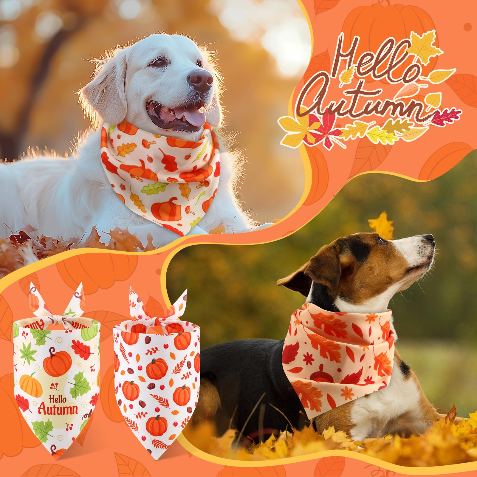 Bandana Abbylike para usos diarios, paseos y eventos.