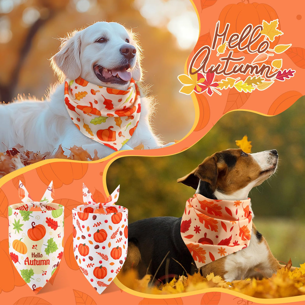 Bandana Abbylike para usos diarios, paseos y eventos.
