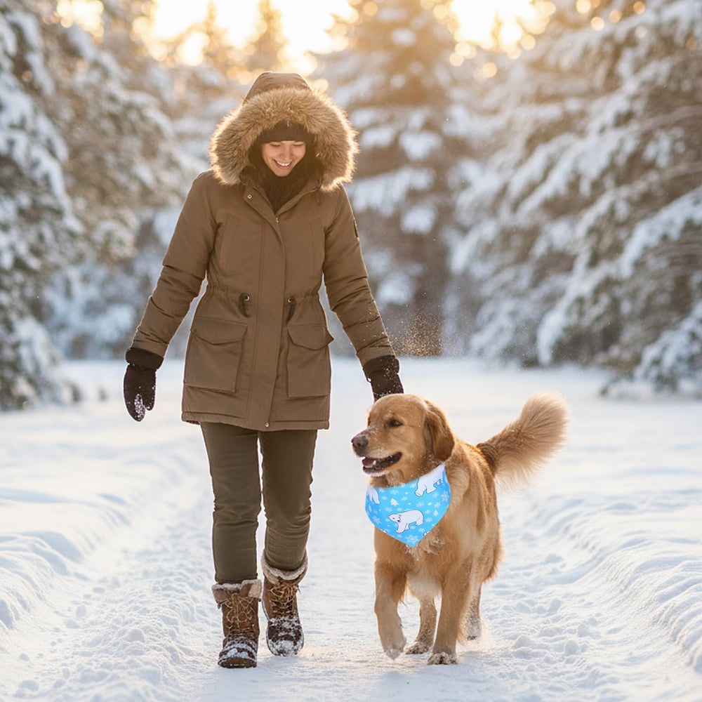Bandanas invernales Abbylike para perros, decoran fiestas y momentos de paseo