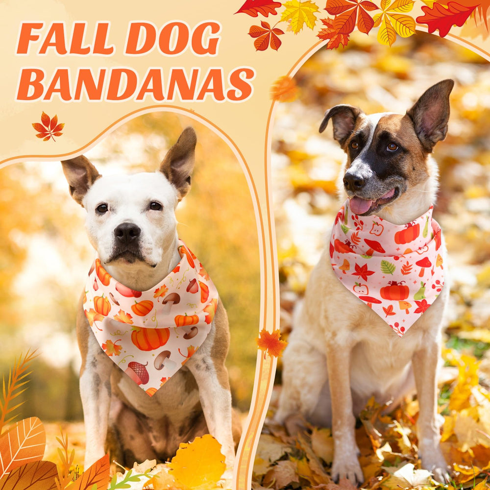 Bandanas Abbylike para fotos, accesorio inmediato para lucir adorable.