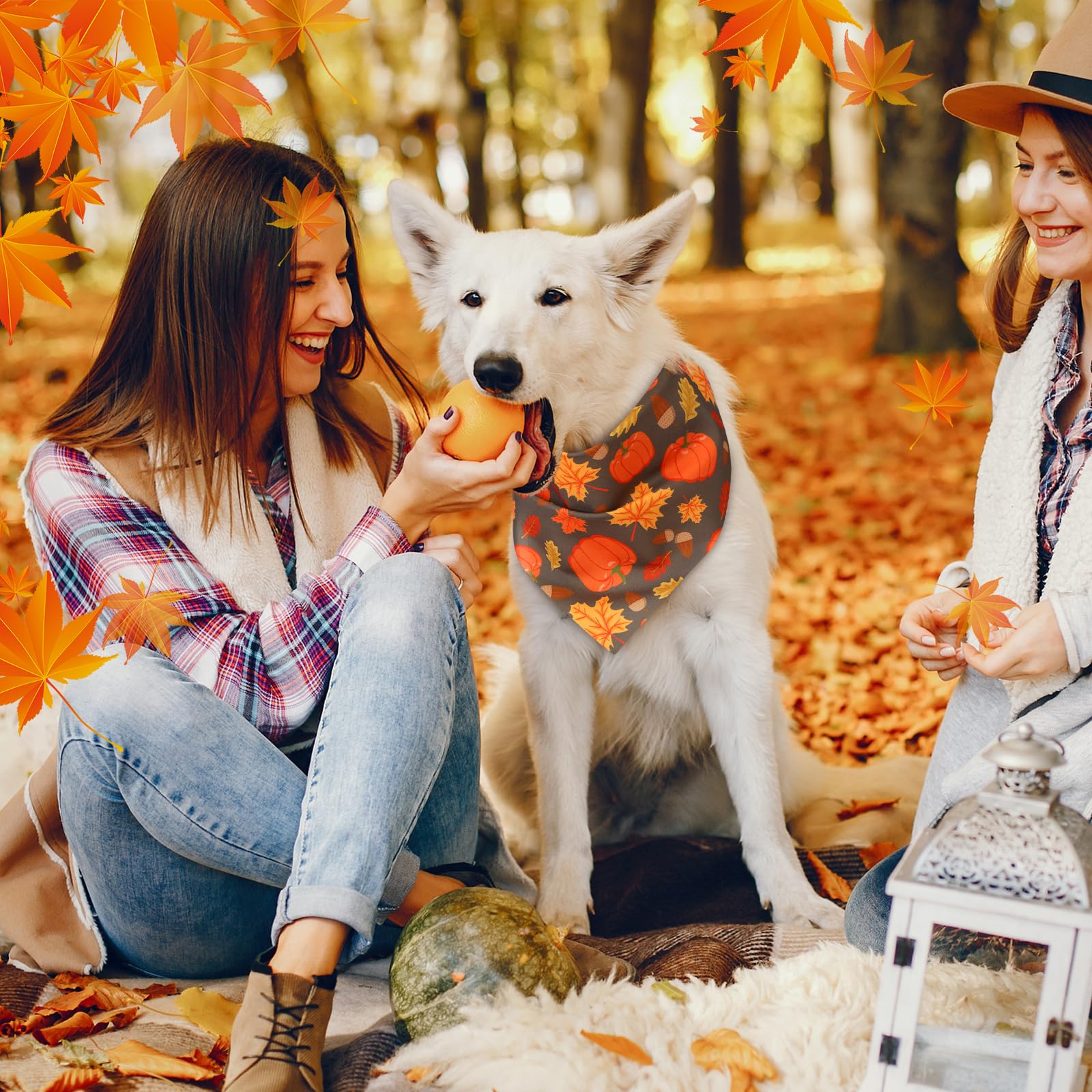 Bandanas Abbylike para uso diario, duraderas y cómodas para mascotas.