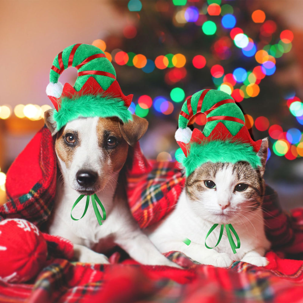Regalo ideal Abbylike para Navidad de mascotas y hogares.