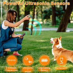 Entrenamiento y corrección de conducta con Abdtech para perros durante paseos o en casa.