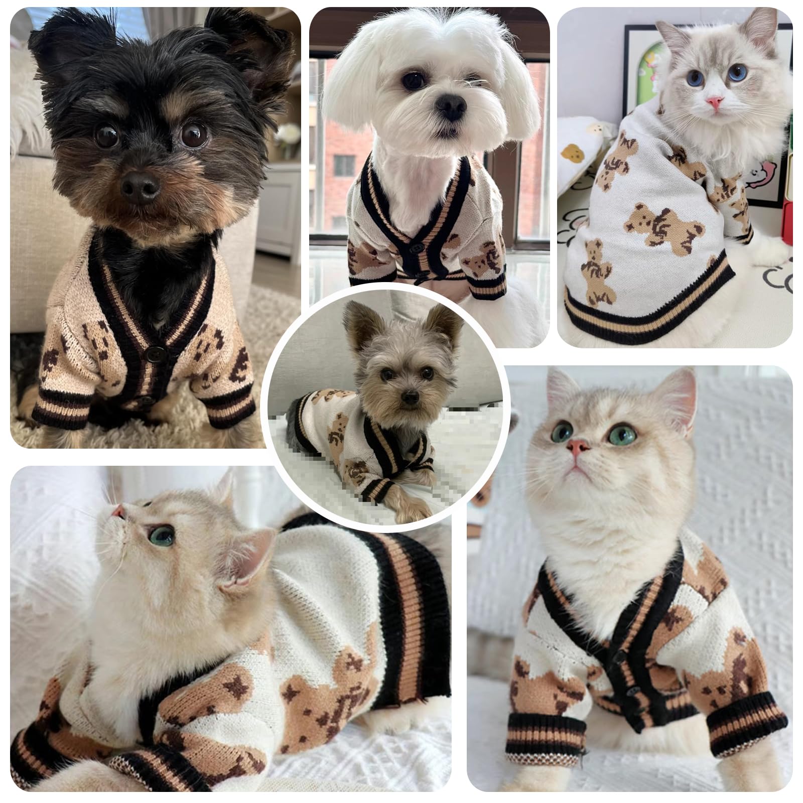 ABRRLO chaleco de punto para perro pequeño con patrón oso, elegante para salidas.