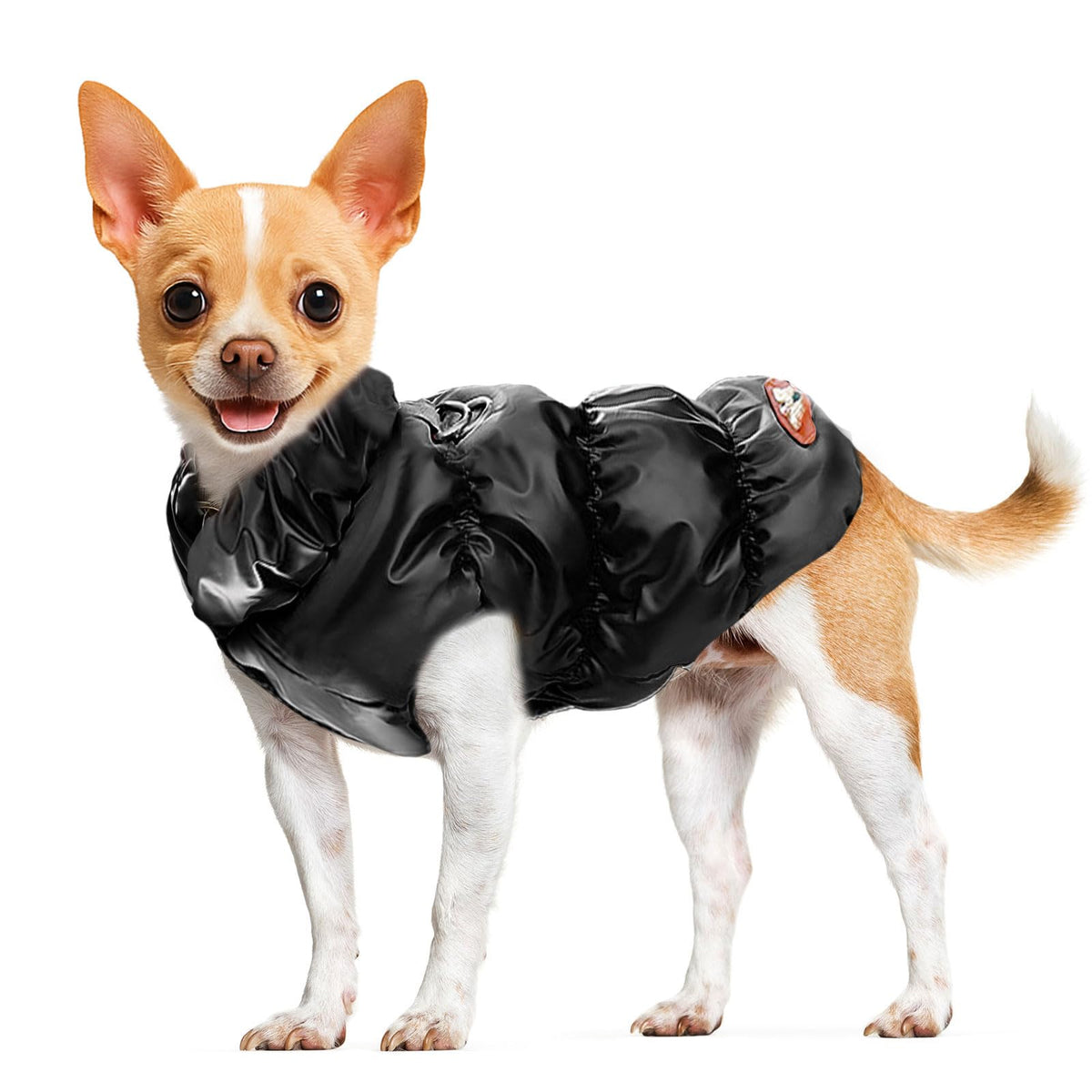 ABRRLO jaqueta invierno para perro pequeño, ideal para paseos en clima frío.