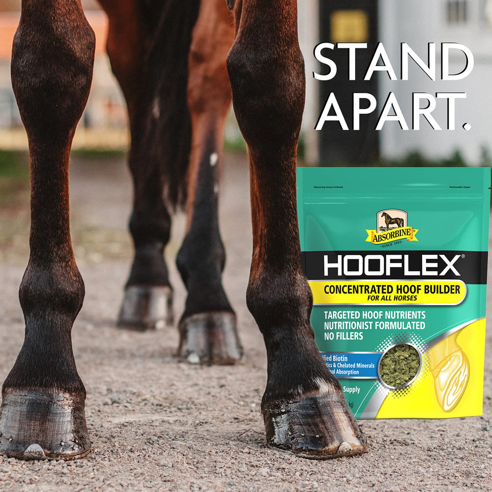 Cascos de caballo se ven fuertes gracias a Hooflex.