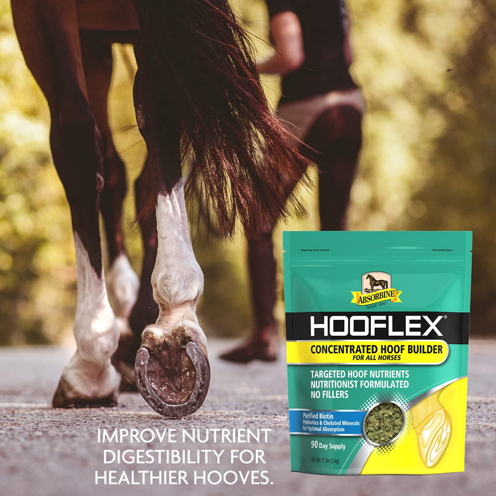 Frasco de Absorbine Hooflex con etiqueta, soporte continuo de cascos.