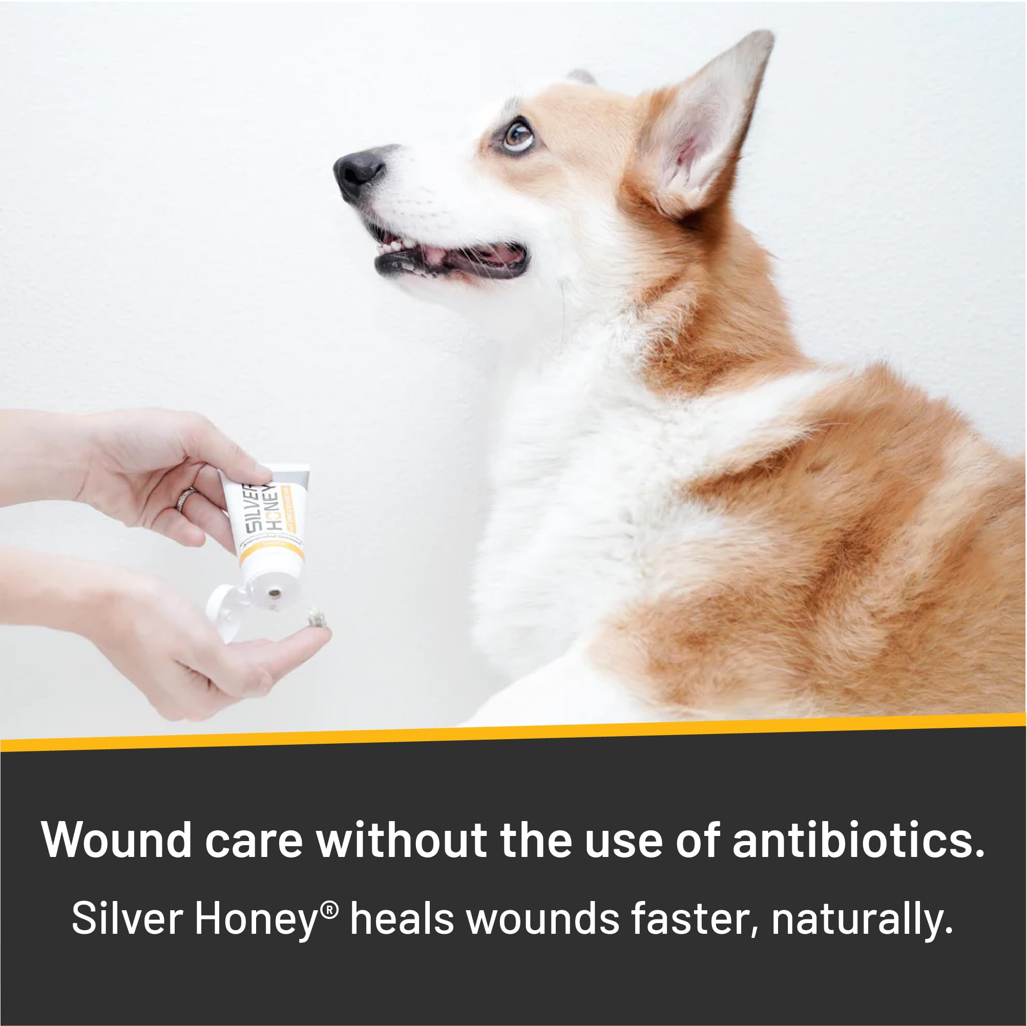 Absorbine Silver Honey aplicación suave para picazón y molestias.