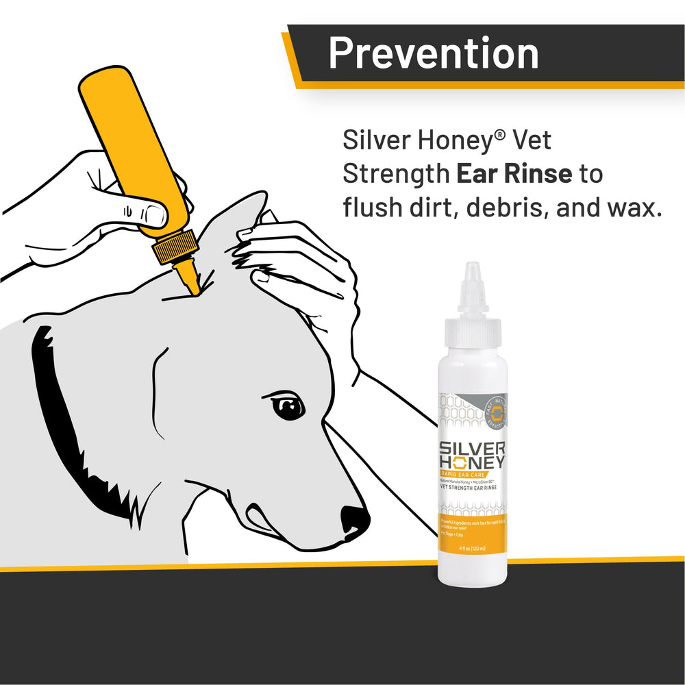 Absorbine Silver Honey Rapid Ear Care: etiqueta muestra ingredientes clave para cuidado suave.
