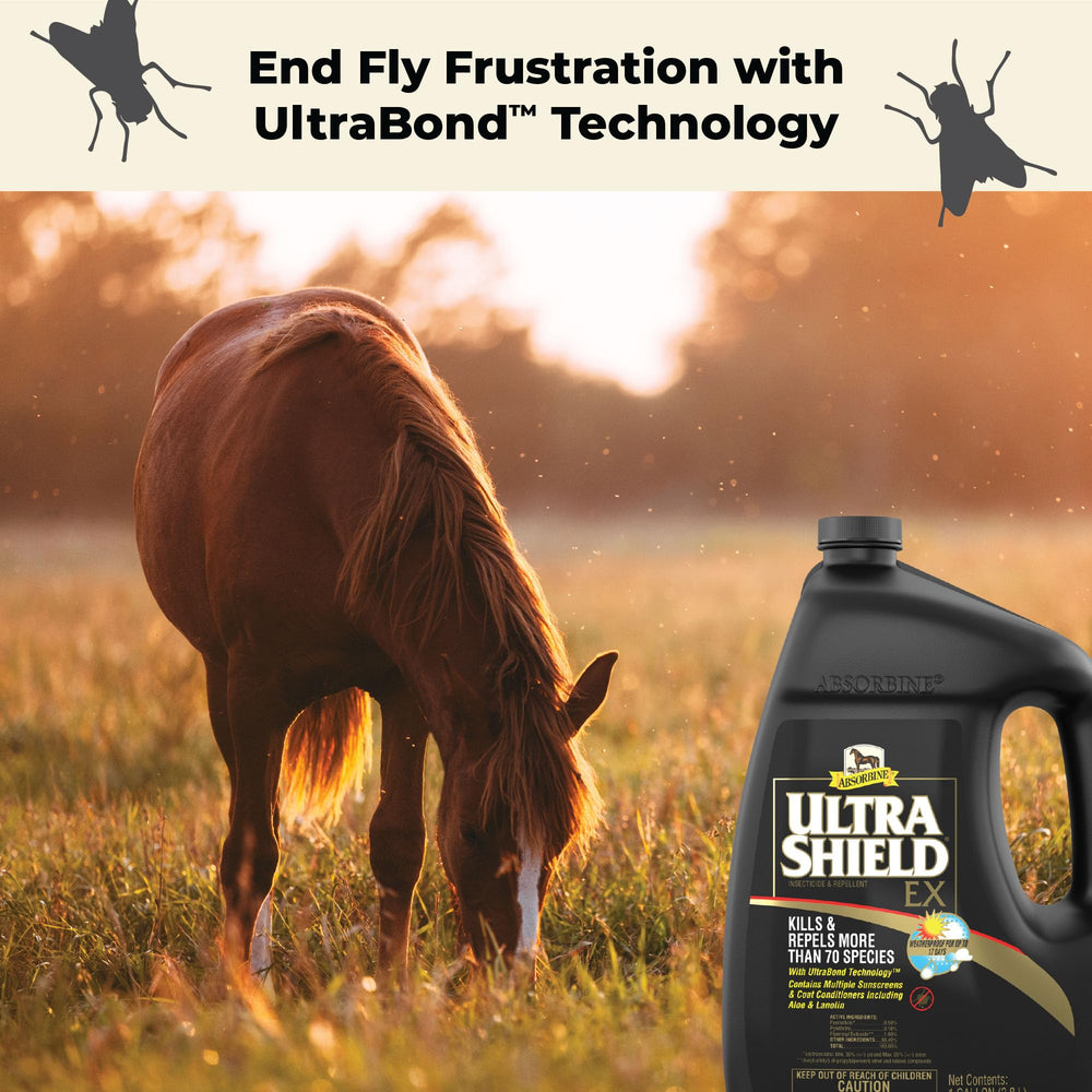 Absorbine UltraShield EX en perro para repeler mosquitos y pulgas.