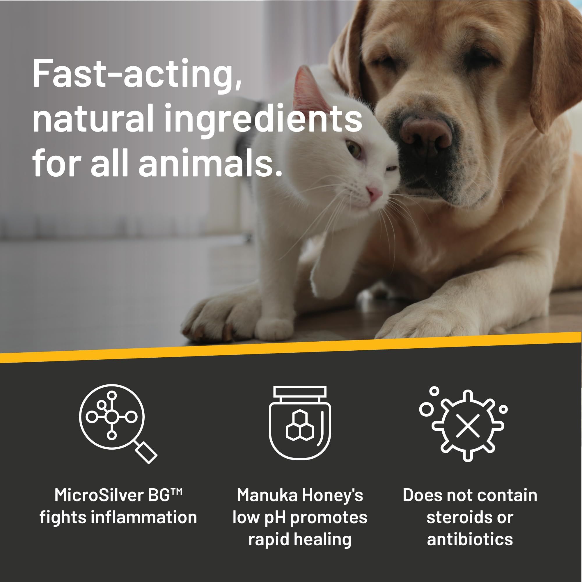 Aplicación doméstica para perros, gatos y animales pequeños