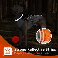 Abuandi capa impermeable y a prueba de viento, mantiene al perro seco.