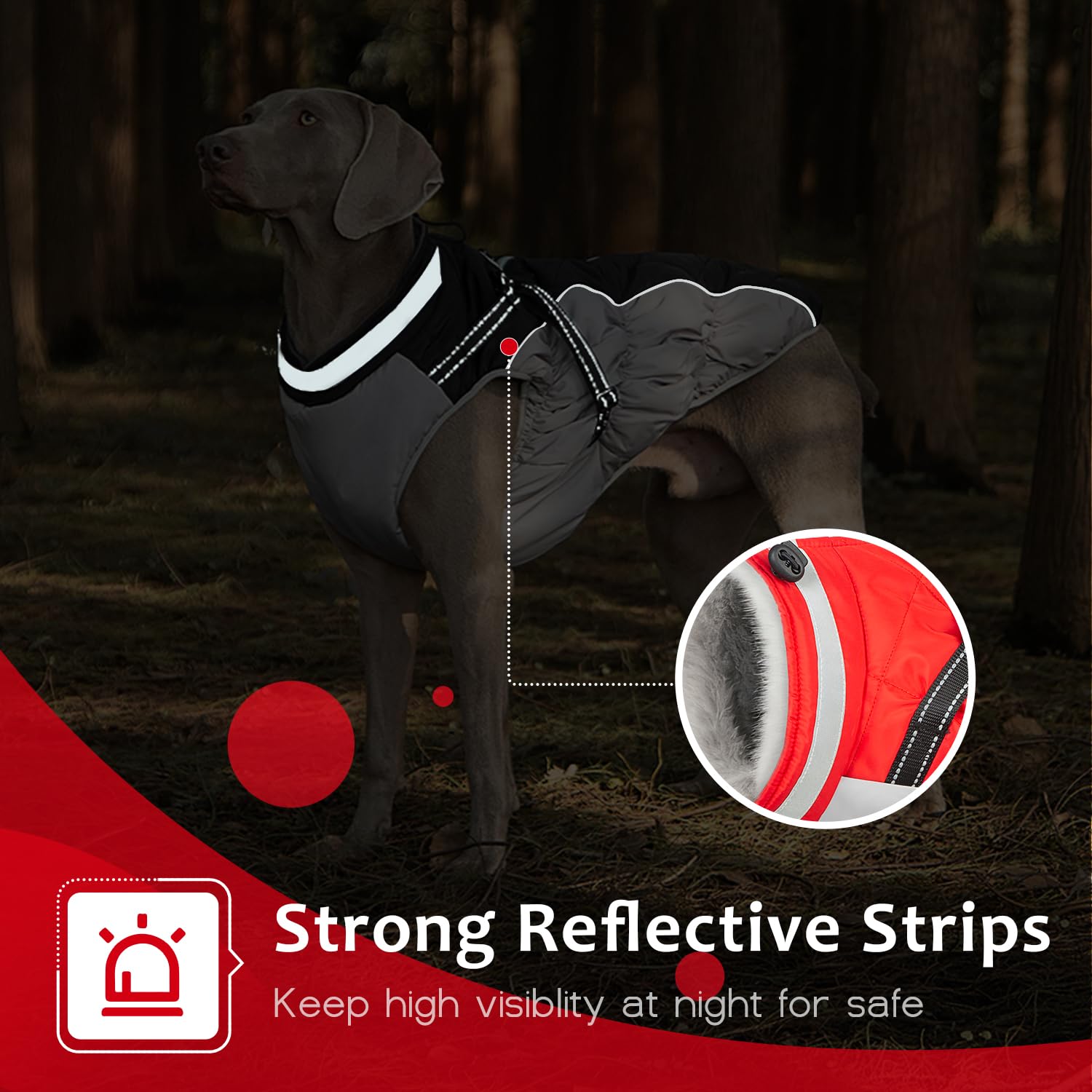 Abuandi prenda impermeable y a prueba de viento mantiene al perro seco.