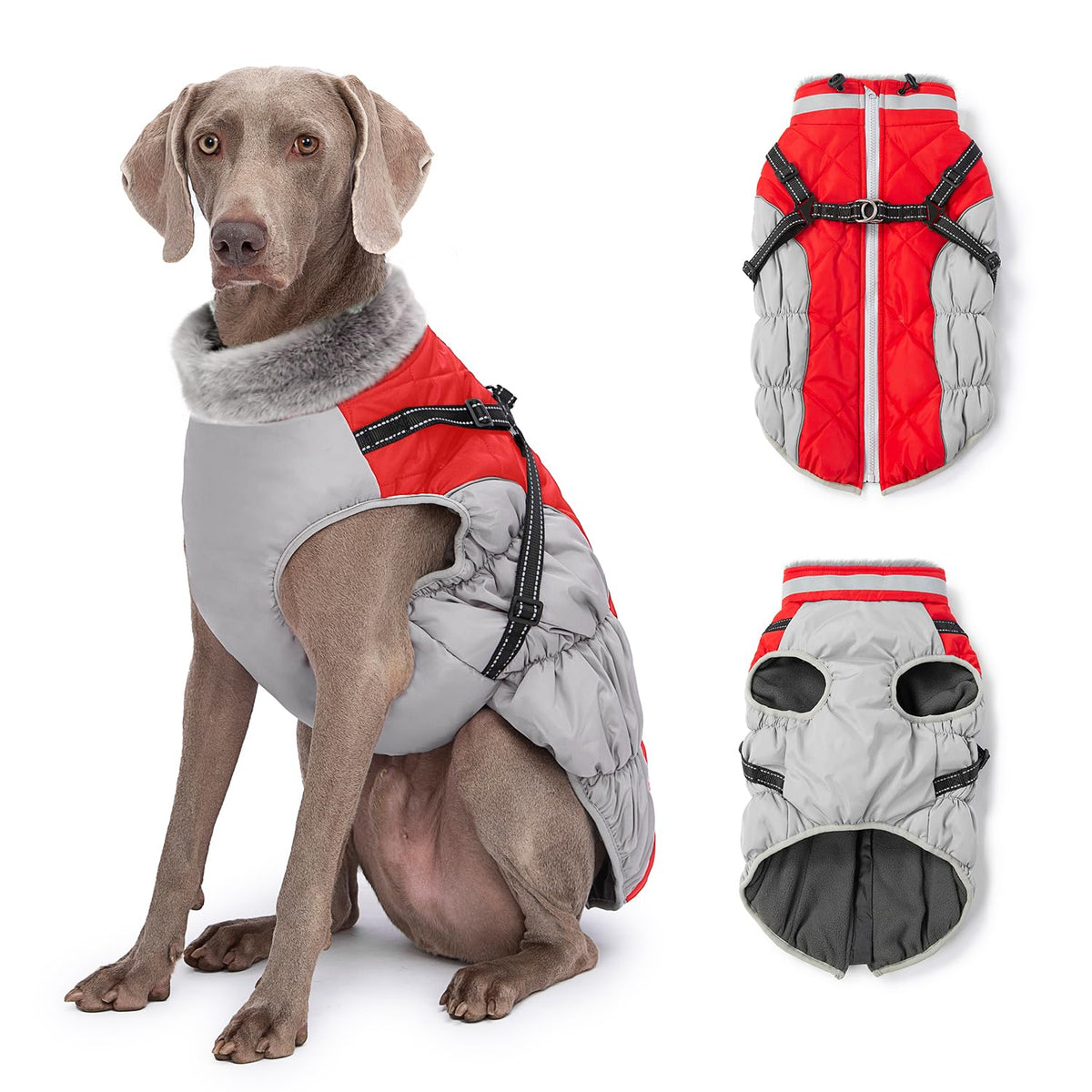 Abuandi abrigo para perro con arnés integrado, perfecto para paseos seguros en invierno.