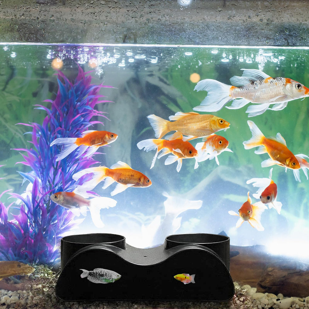 Compatible con varias especies: lochas, corydoras, bettas, plecos y gambas.