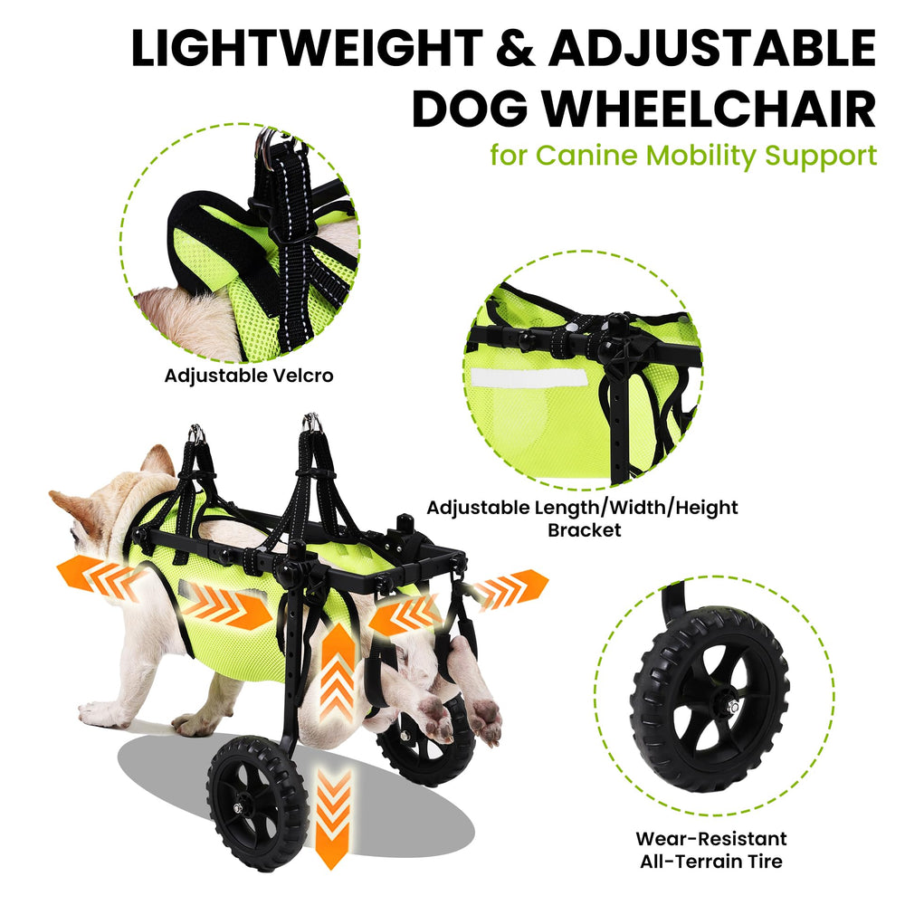 Chaleco de alta visibilidad Acesolid para perro durante paseos nocturnos
