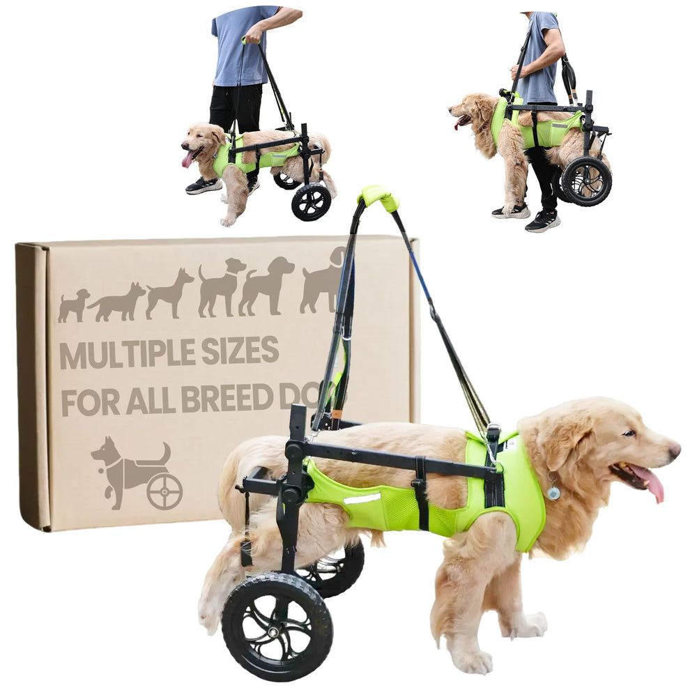 Acesolid: silla de ruedas para perro, vista frontal, facilita movilidad de las patas traseras.