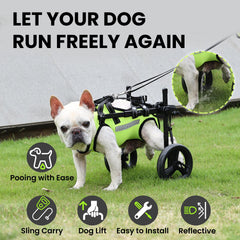Silla de ruedas para perro en terreno variado, movilidad estable en cualquier superficie