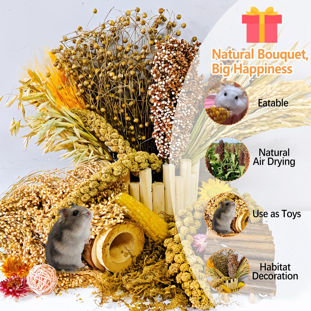 Acsist hámster-colores-naturales-jaula; mejora estética y ambiente.
